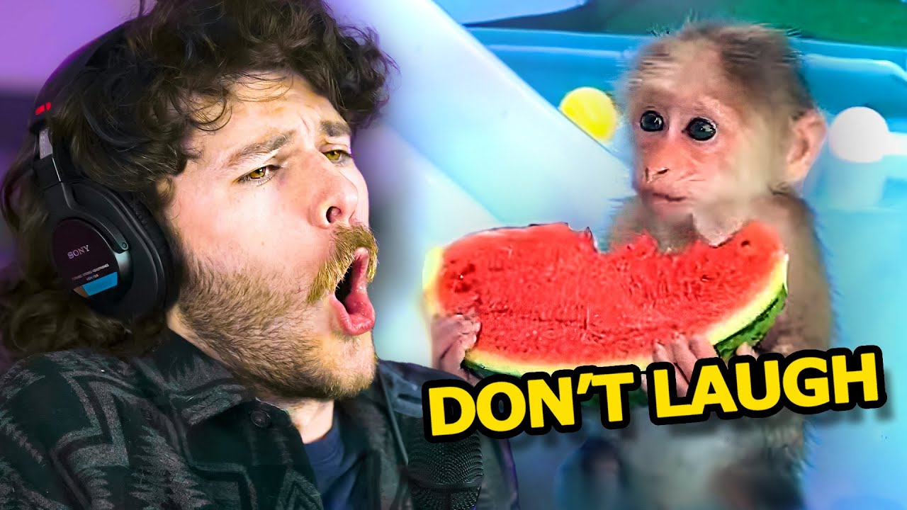 Don’t Laugh 1 (season 2)