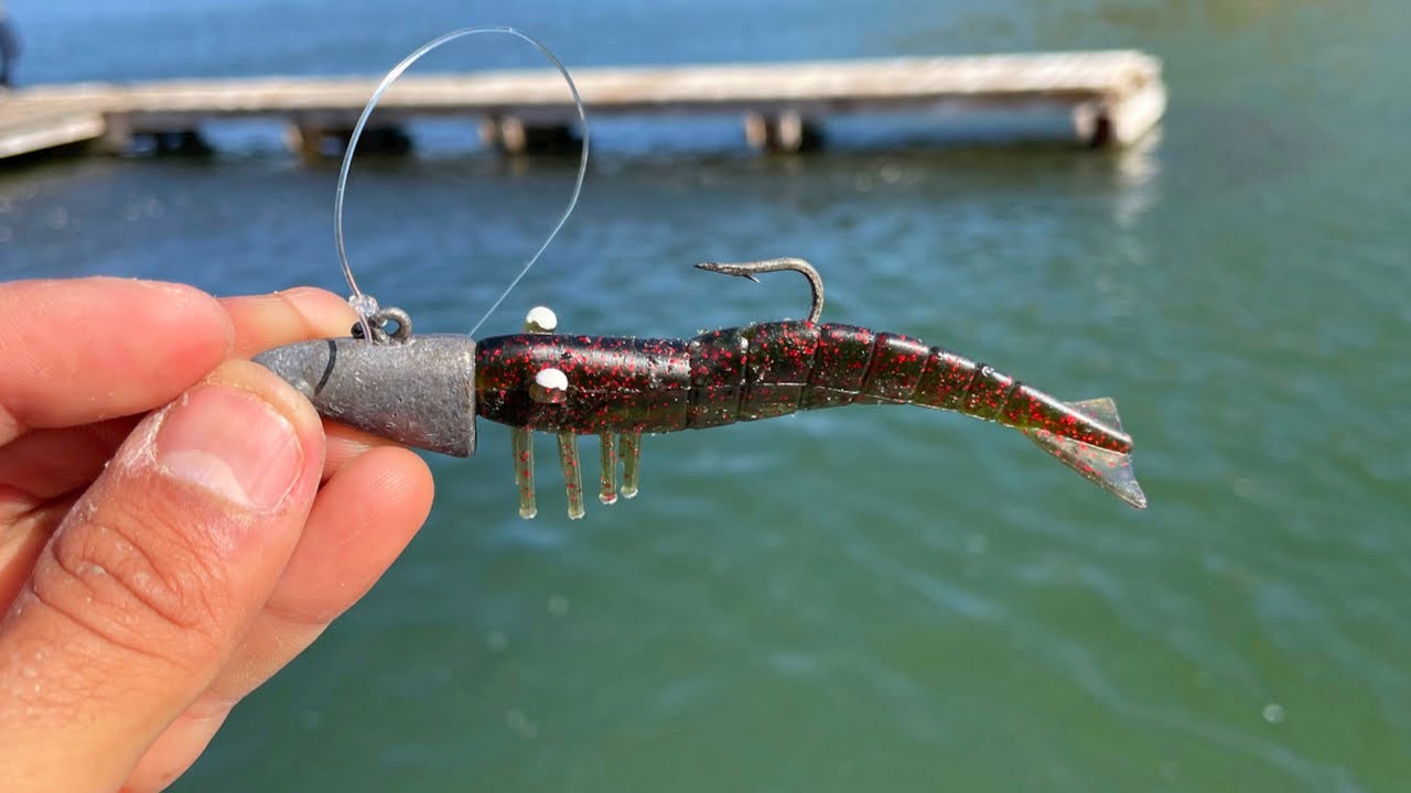Pesca con Camaron Artificial - JD Pesca