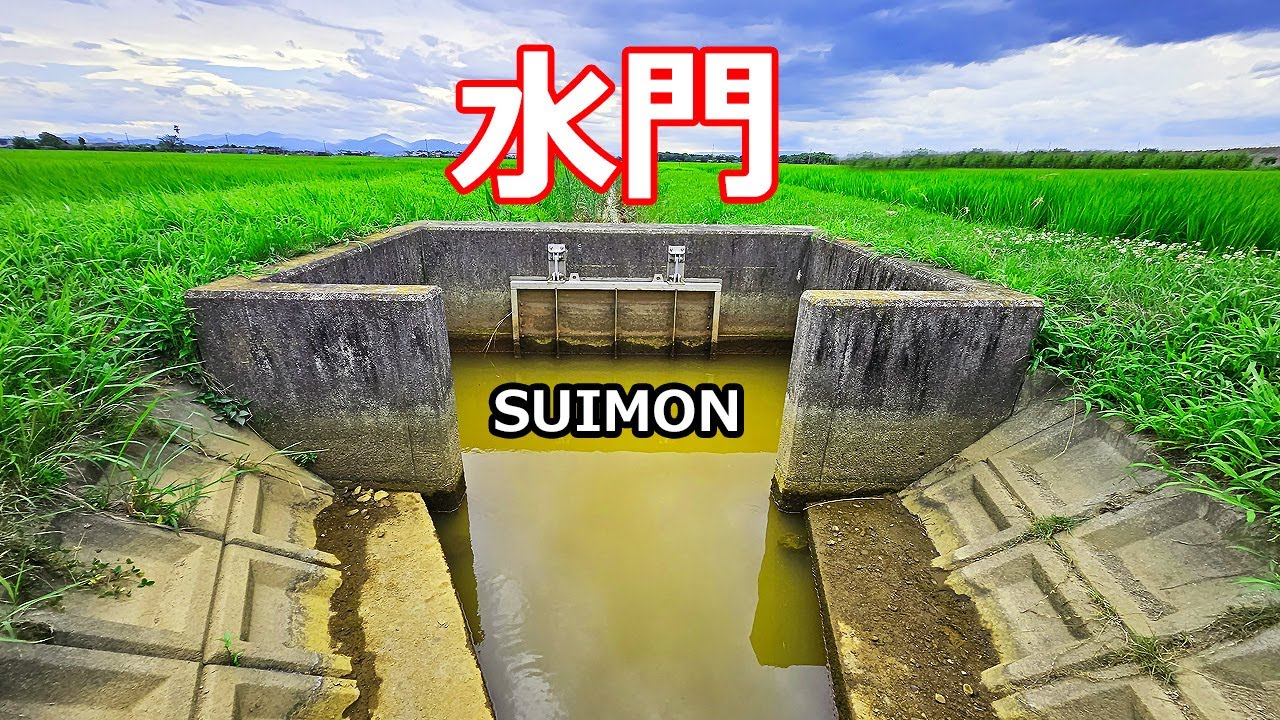 田んぼ脇で釣りしてみた結果　【うなぎ釣り】