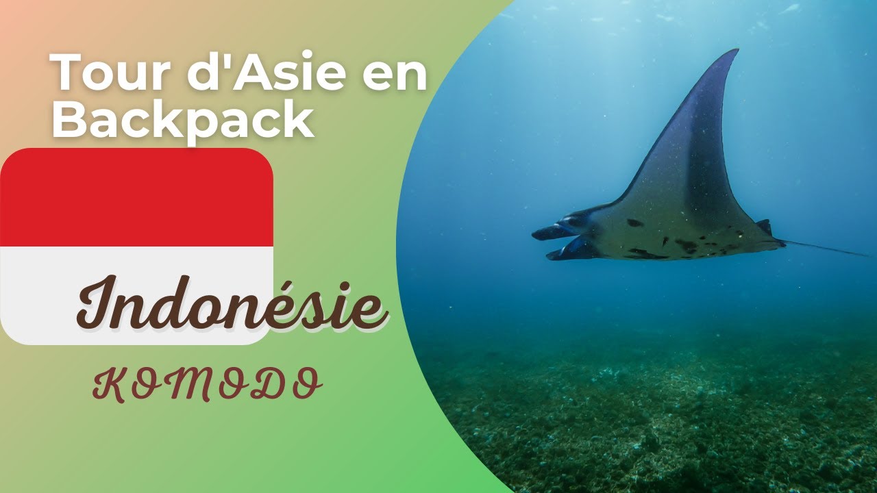 Backpack Asie ep 22: Komodo sous l eau et sur terre