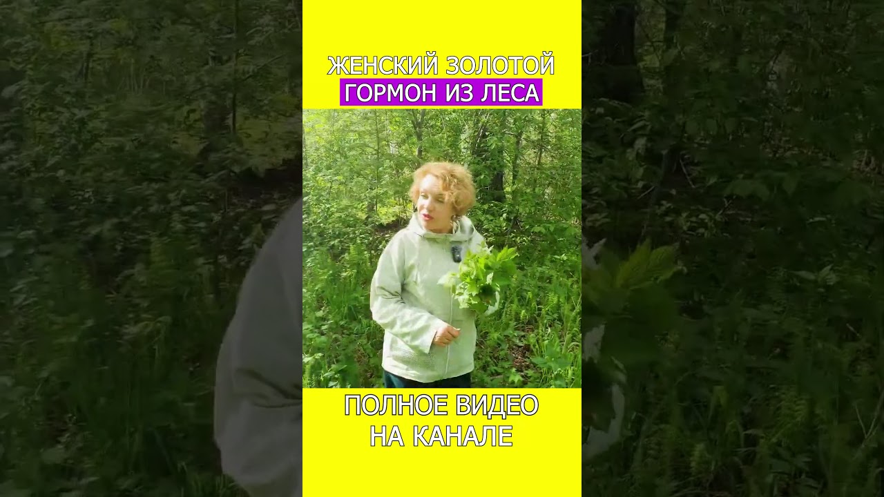 СОСУДЫ и КАПИЛЛЯРЫ восстанавливаются &mdash; пью этот ЧАЙ из ТРАВ! #shotrs #вены #фитотерапия