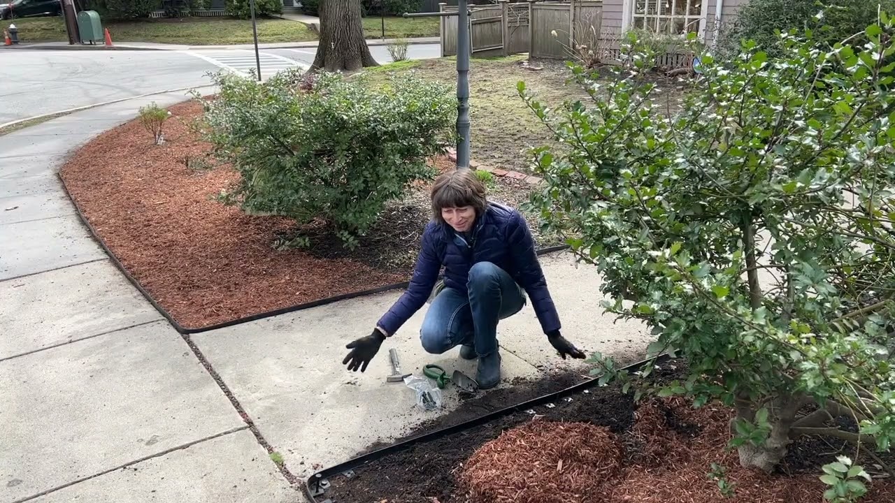 DIY no-dig landscape edging installation Vigoro