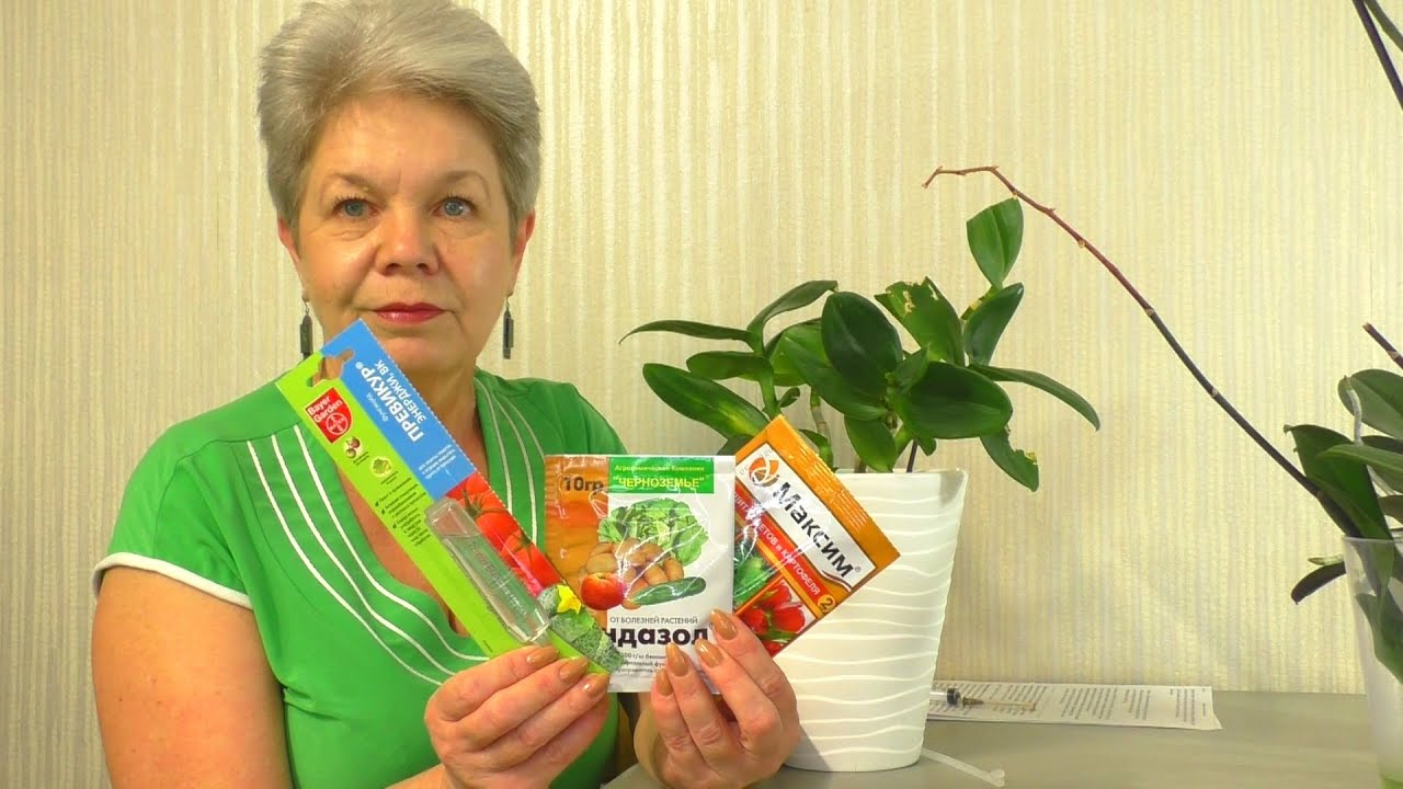 НАРАЩИВАЮ КОРНИ Орхидеи и ЛЕЧУ её, всего ТРЕМЯ Препаратами - Максим, Фундазол, Превикур Энерджи
