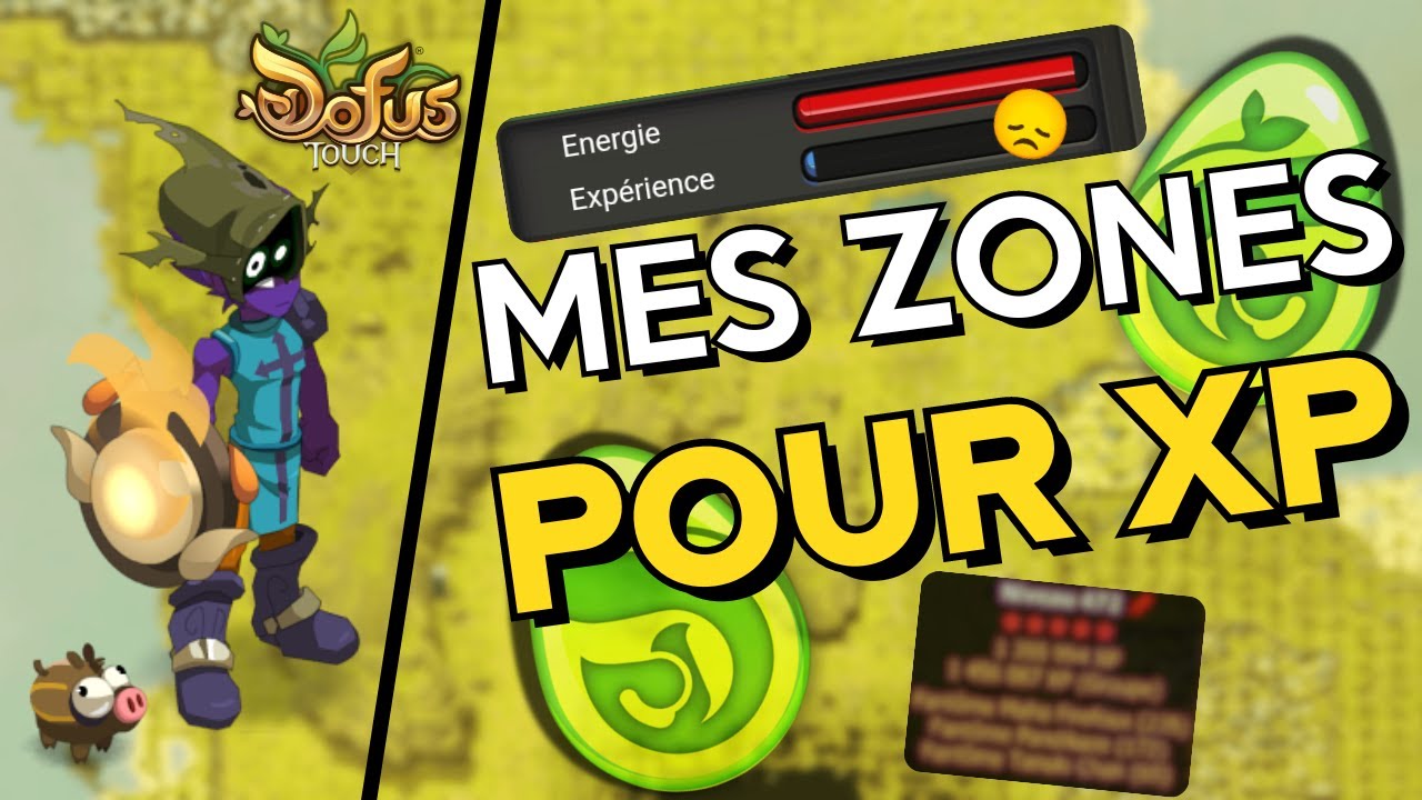 LVL 200 EN 10 JOURS l MES ZONES POUR XP ( dofus touch )