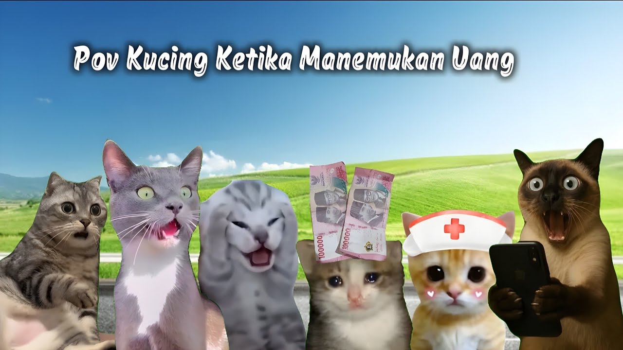 Pov Kucing Ketika Aku Menemukan Uang | meme kucing lucu #pov #meme #kucing #cat
