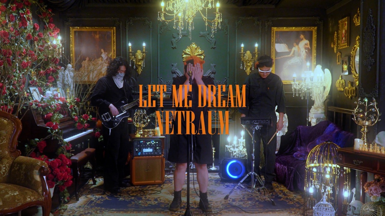 NETRAUM - Let Me Dream (Visualizer)