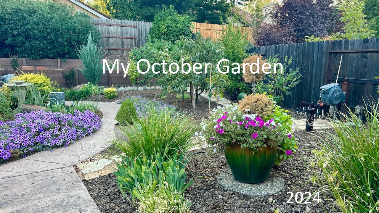 My October Garden #garden #californiagardening #zone9b