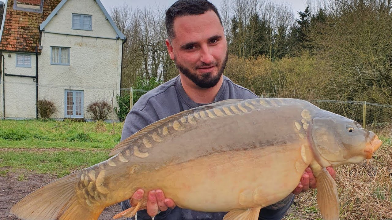 winter carp