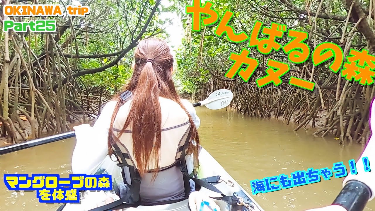【沖縄観光】やんばるの森でカヌー体験！！マングローブの森を進むぞ！！海にも出ちゃう！！