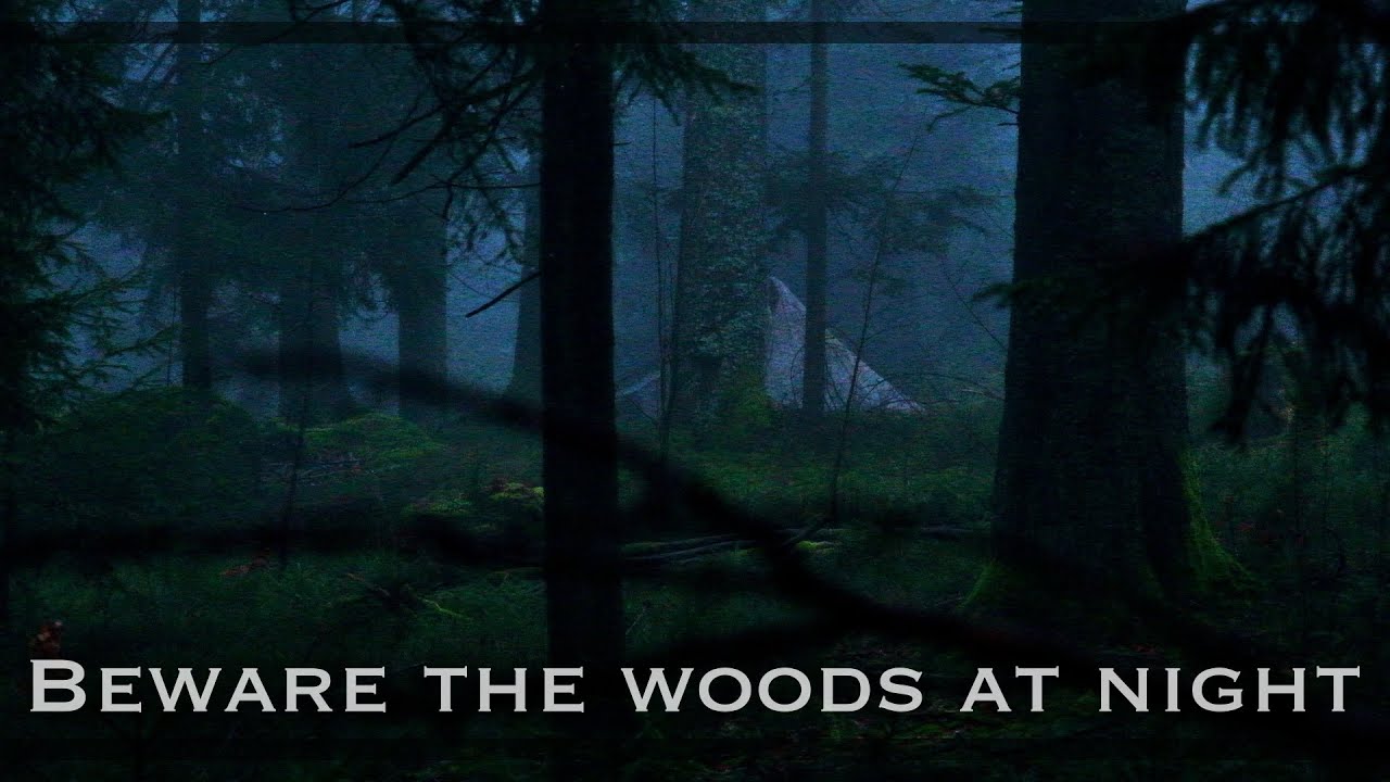 Solo Overnight in mystical Forrest.