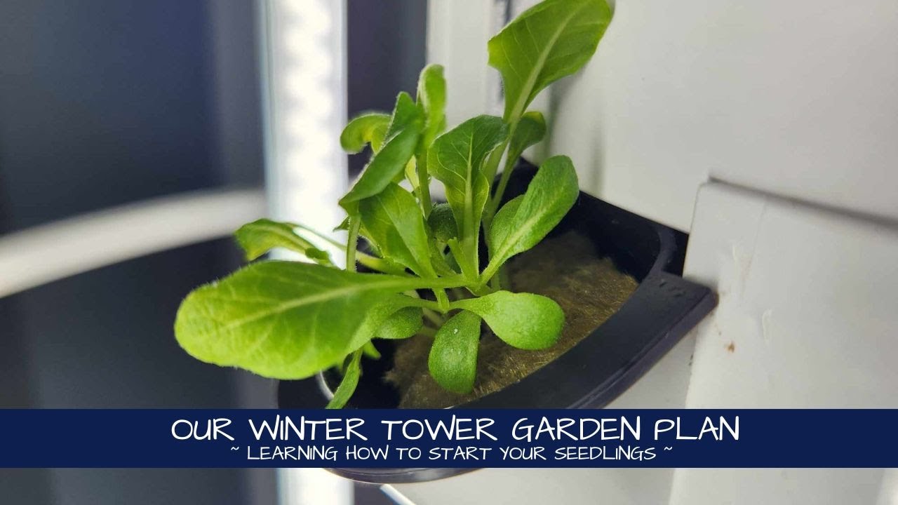 Our Winter Tower Garden Plan