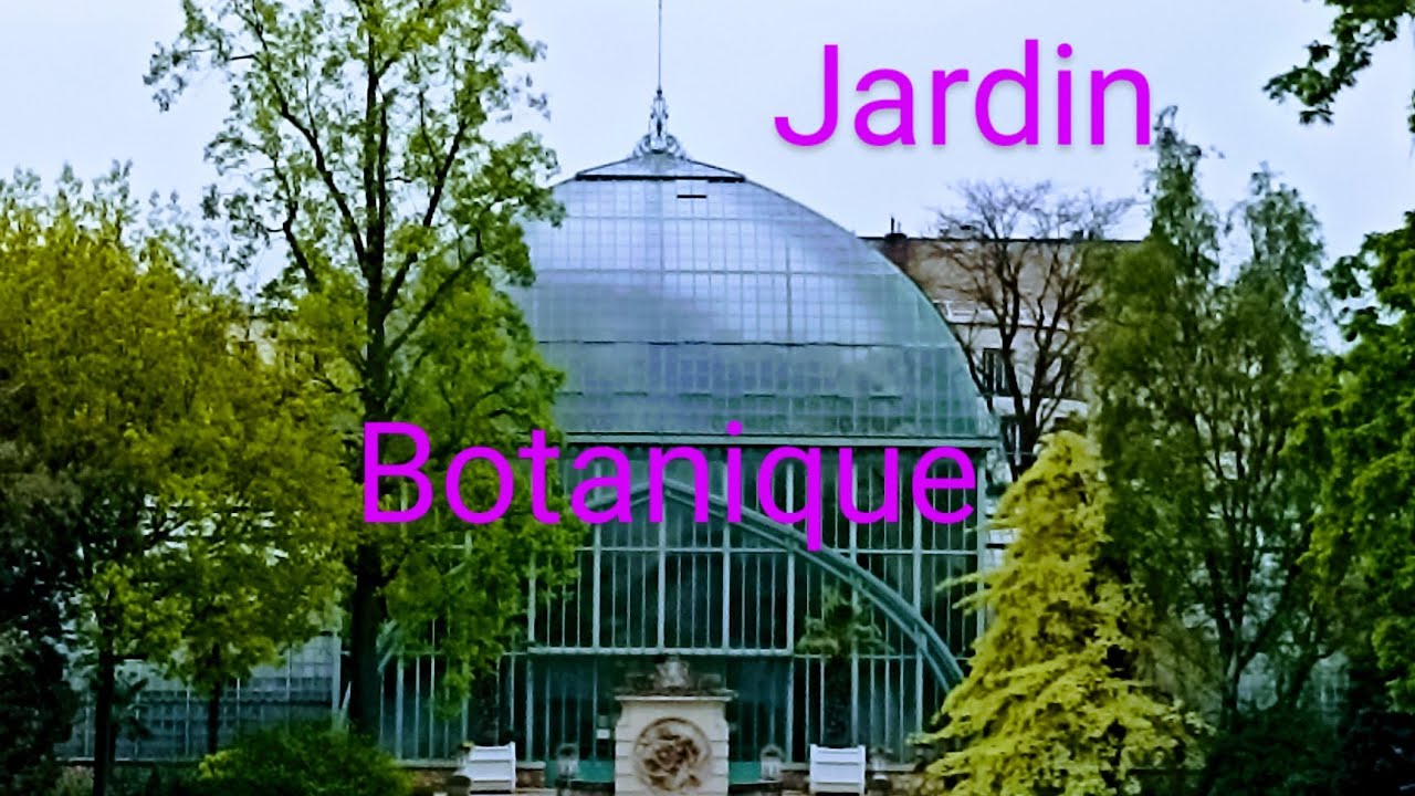 Paris, France | BOTANICAL GARDEN in PARIS | JARDIN BOTANIQUE | Walk | Nature 🍀🌳