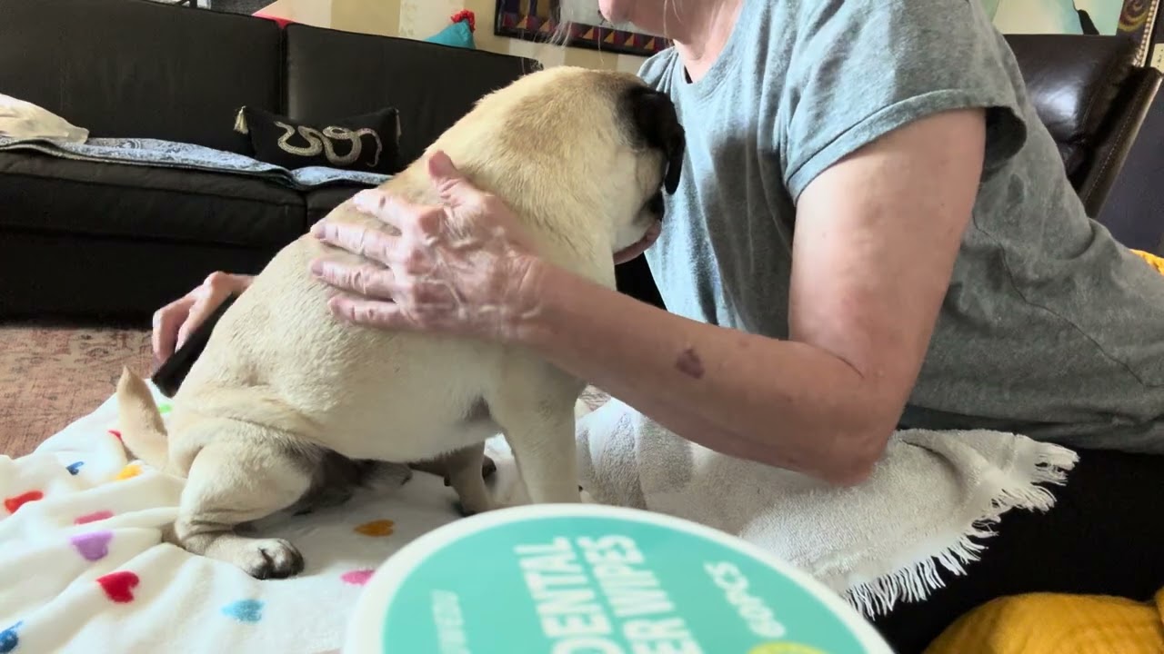 Toby(SDPR) Daily Beauty Treatment 