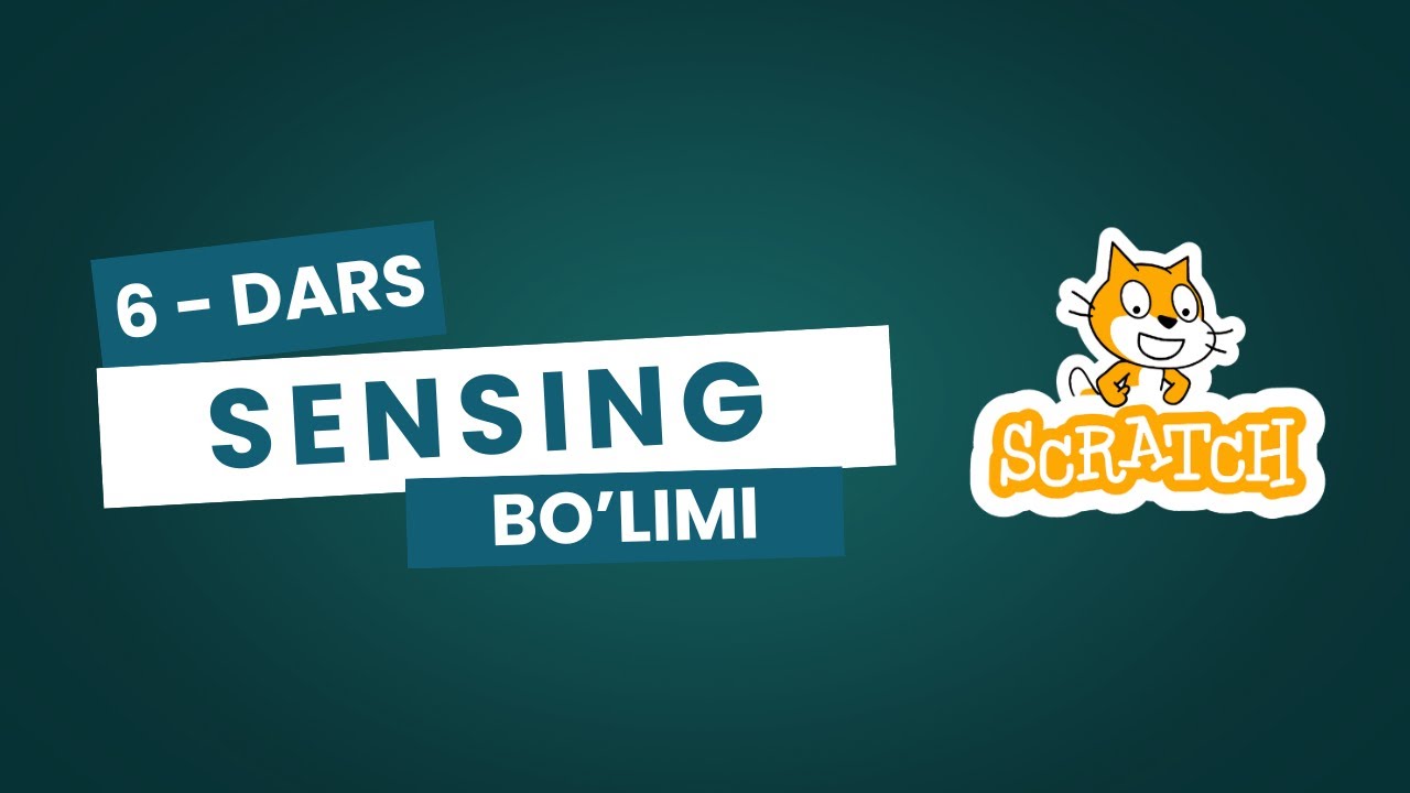 Skratch boshlang'ich darslar, 6-dars, Sensing bo'limi