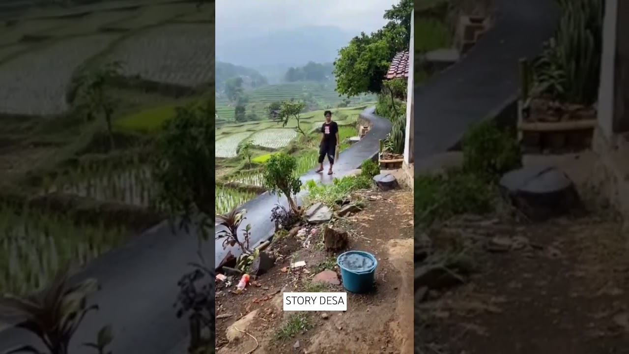 Desa indah di Indonesia #wisata #pedesaan #desa #sawah #kampung #sunda #villagelife #nature #alam