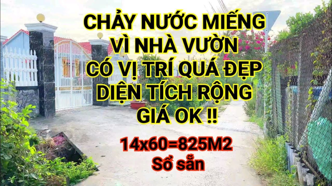 bán nhà tiền giang | nhà vườn nghĩ dưỡng rẻ 🍀 ĐẤT RỘNG 825M2 chỉ 1,1 tỷ | Phương Lâm BDS