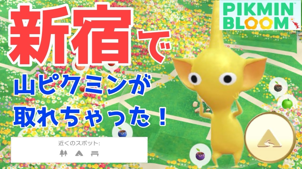 こんな所で取れるの！？山ピクミンが実装されたけど、都会でもゲットは出来ます！【ピクミンブルーム / Pikmin Bloom 】