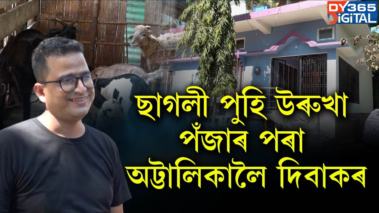 ছাগলী পালন কৰি কোটিপতি হব পাৰি নে?
