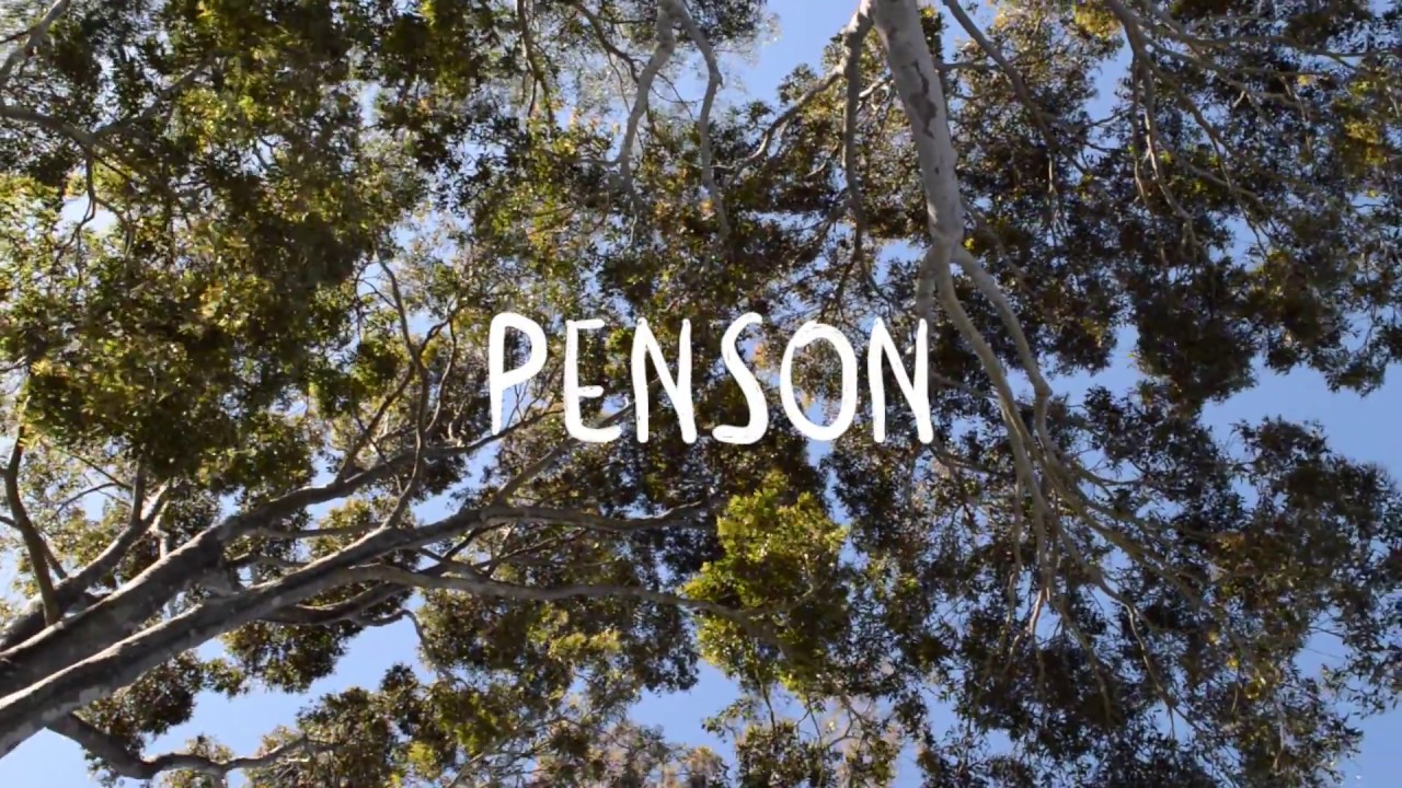penson  | Disguise