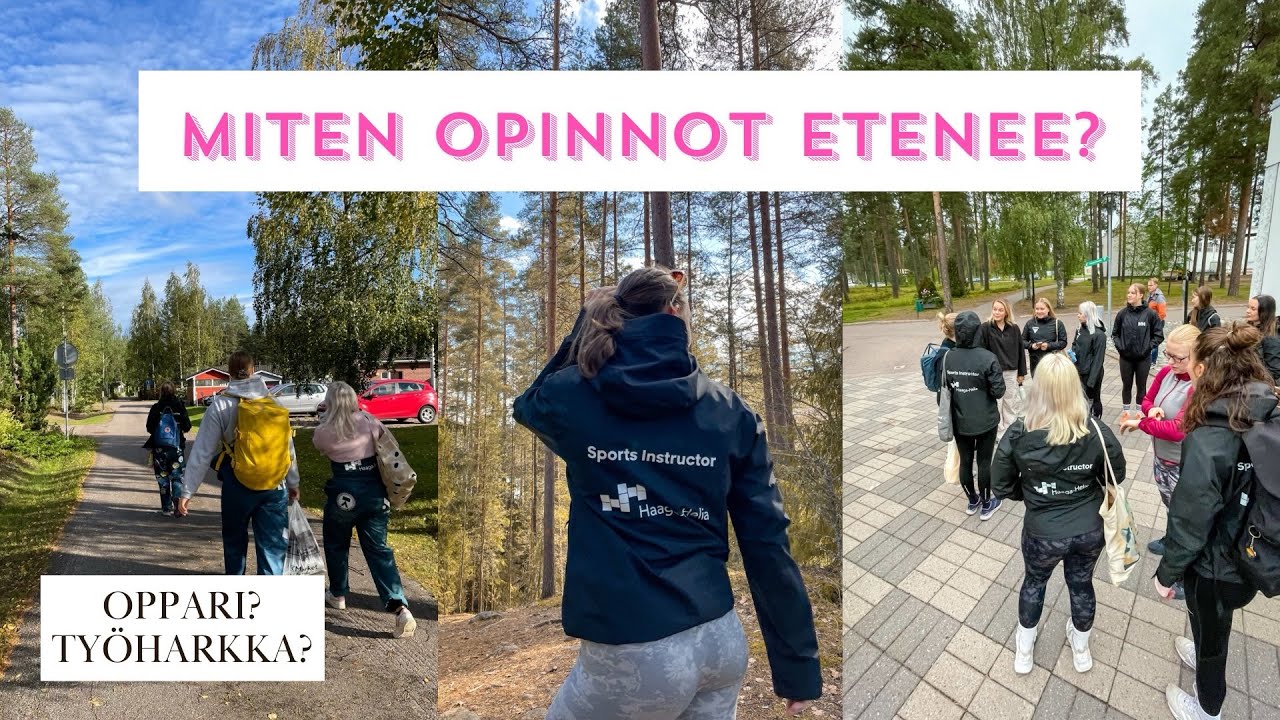 liikunnanohjaajan AMK opinnot  |  opinnäytetyö, työharkka, suuntautuminen