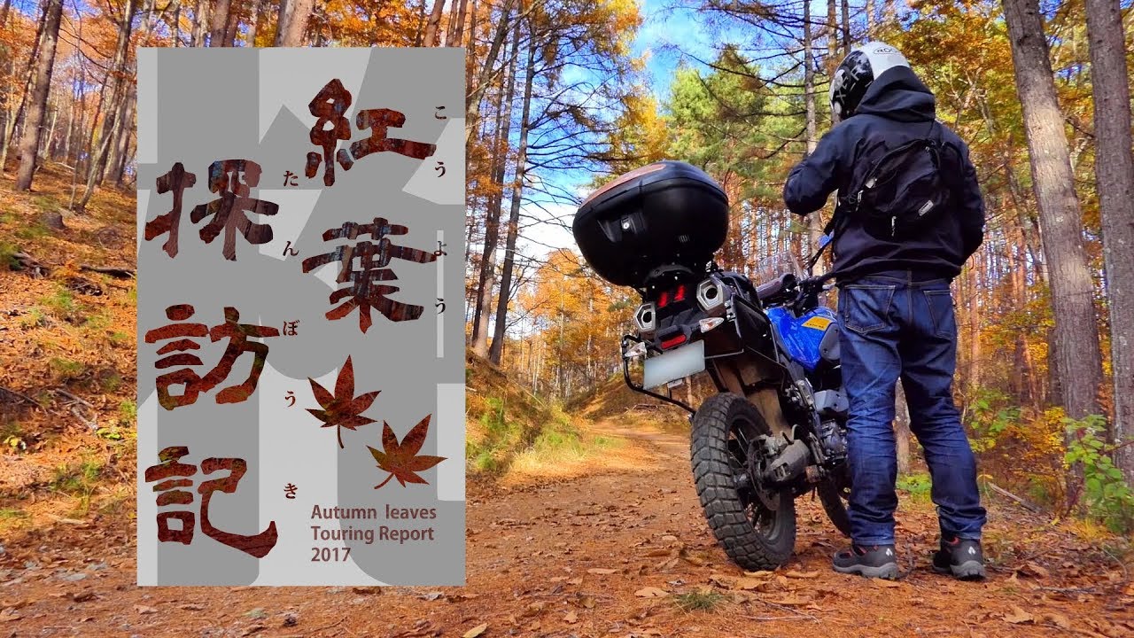 【XT660Zテネレ】紅葉探訪記2017