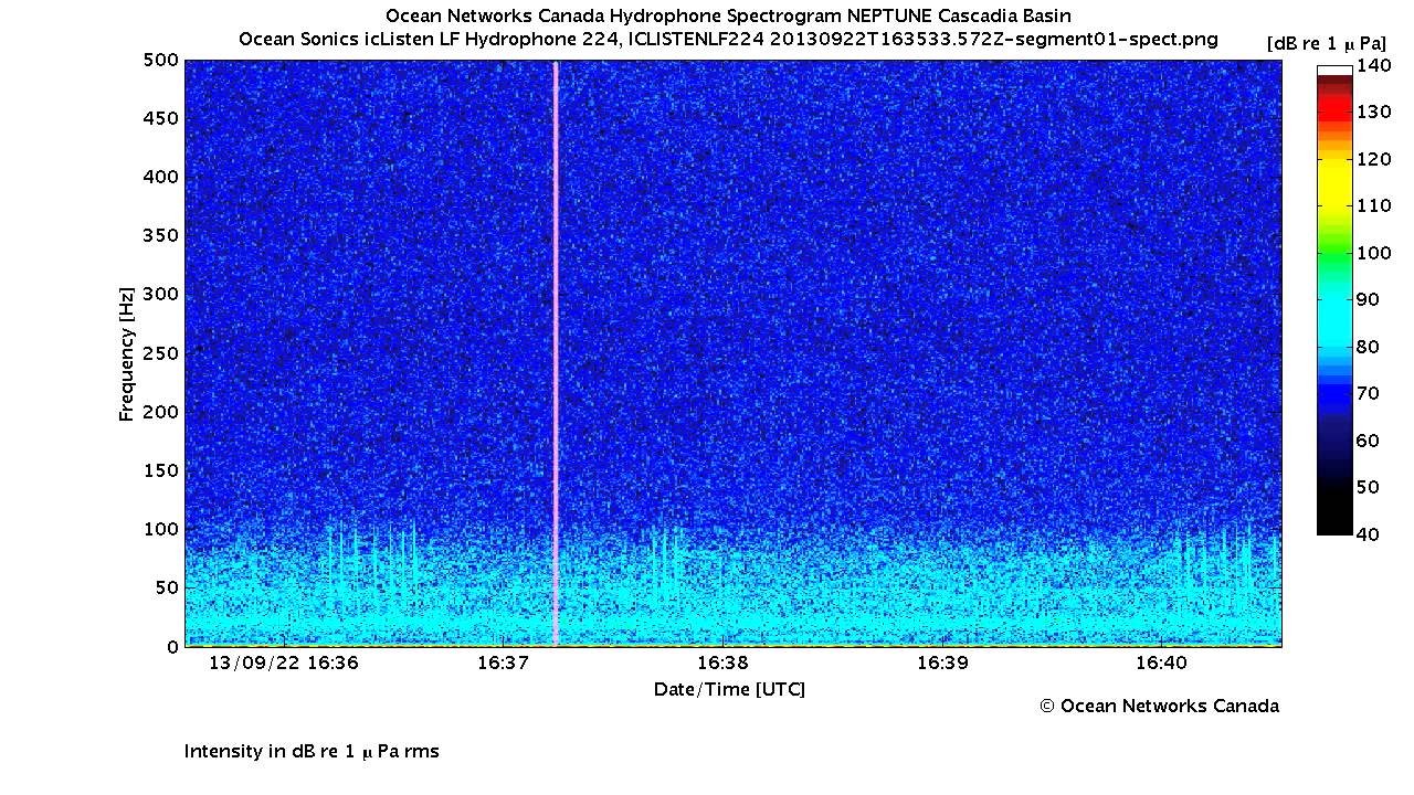 Possible Sei Whale Vocalizations