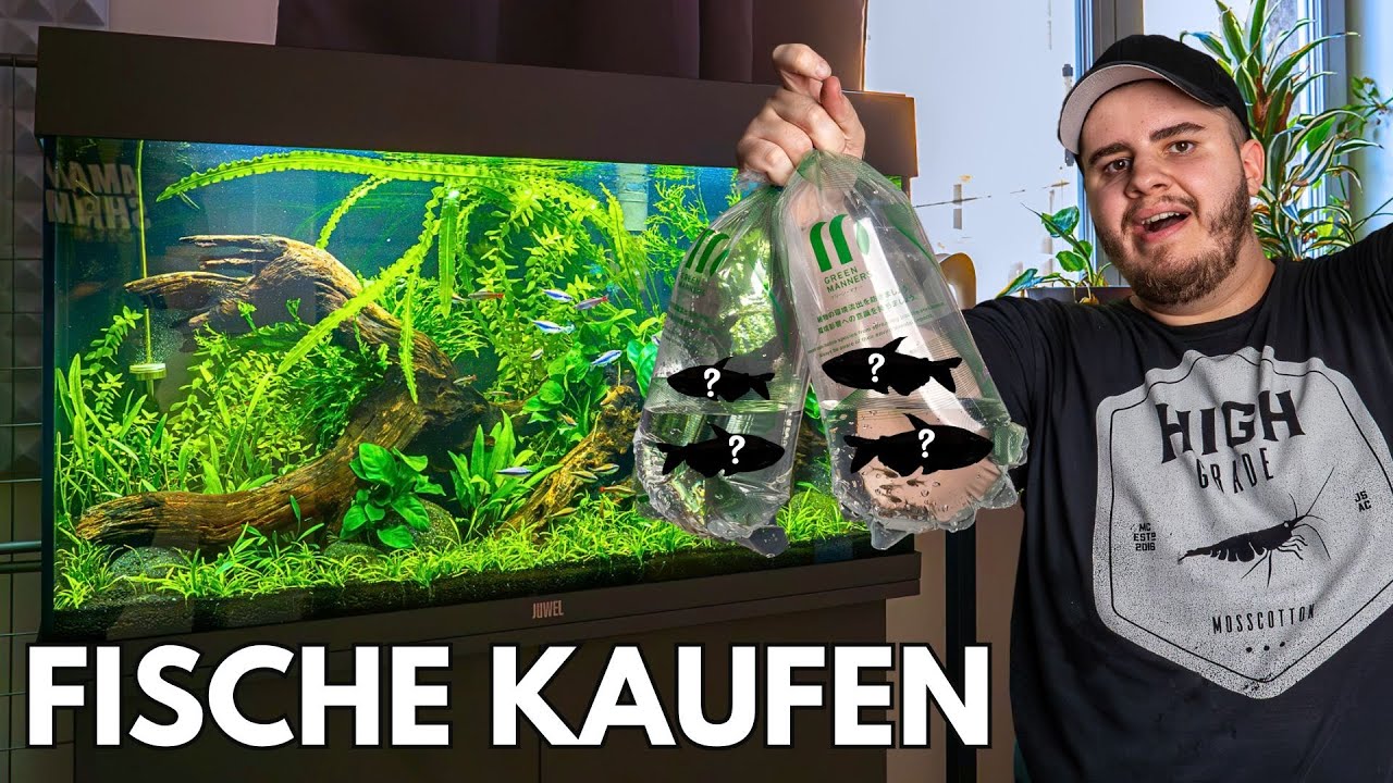 Fische kaufen für mein Juwel Rio 125 Aquarium!