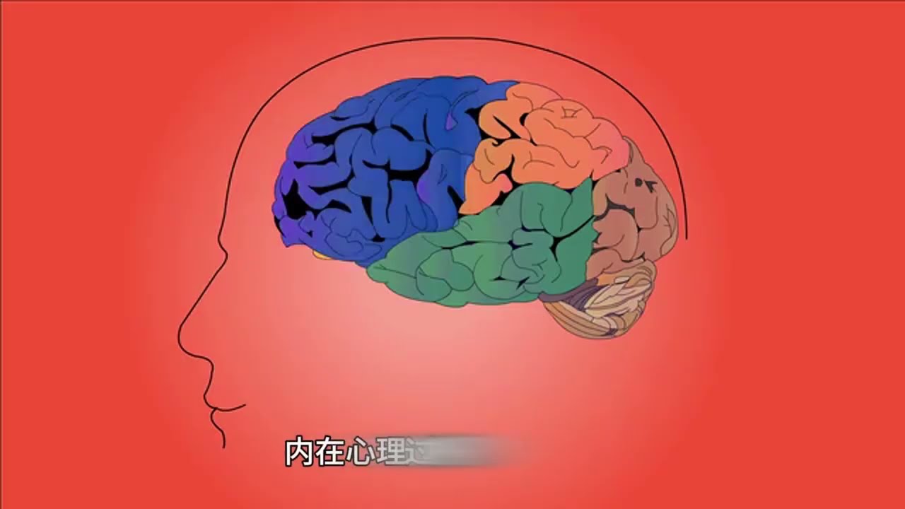 概念百科：揭秘自驱力：你的成功密码在这里！