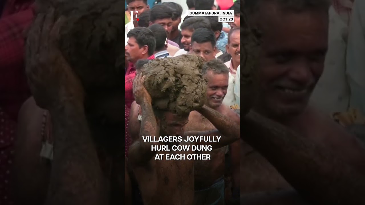 Watch: Indians Celebrate Diwali End with Cow Dung Festival Battle | Subscribe to Firstpost | N18G
