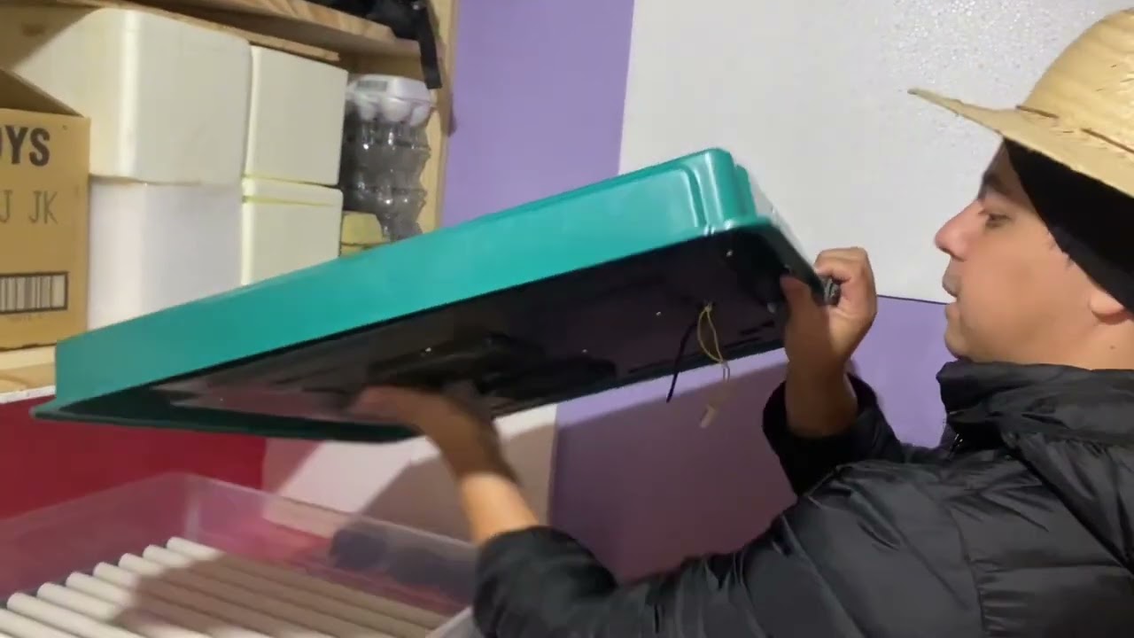 Nova chocada na chocadeira Cresco acompanhe o passo a passo para montar e hifenizar #chicken