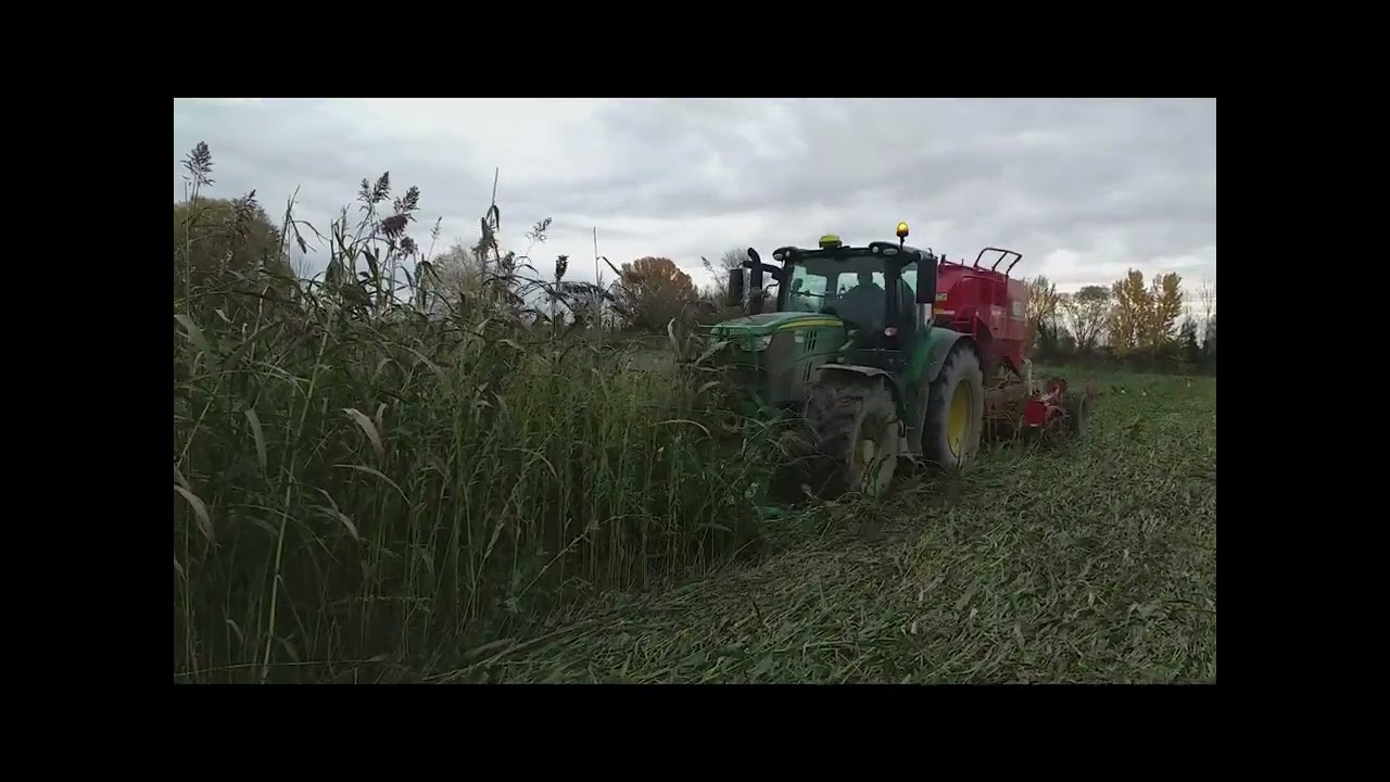 Semis direct de féverole dans un couvert végétal de sorgho fourrager et de crotalaire