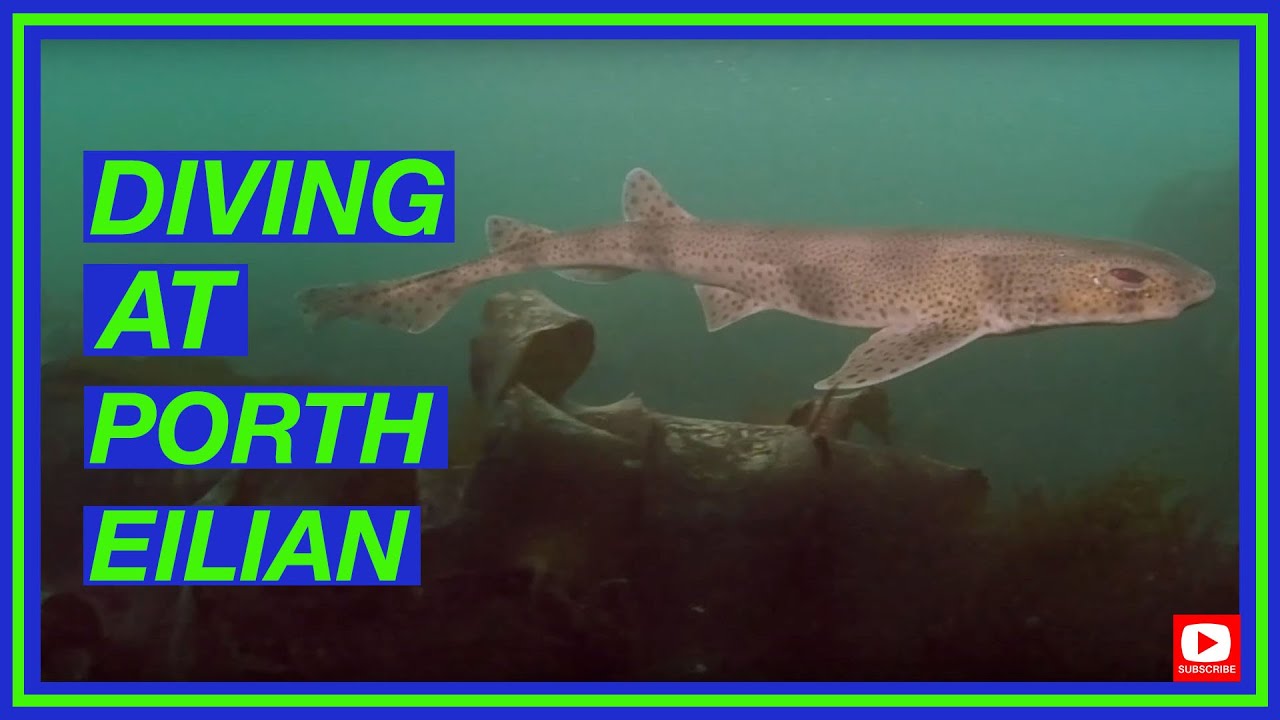 Diving Llaneilian / Porth Eilian | Diving North Wales | Shore diving Anglesey | Dive site guide