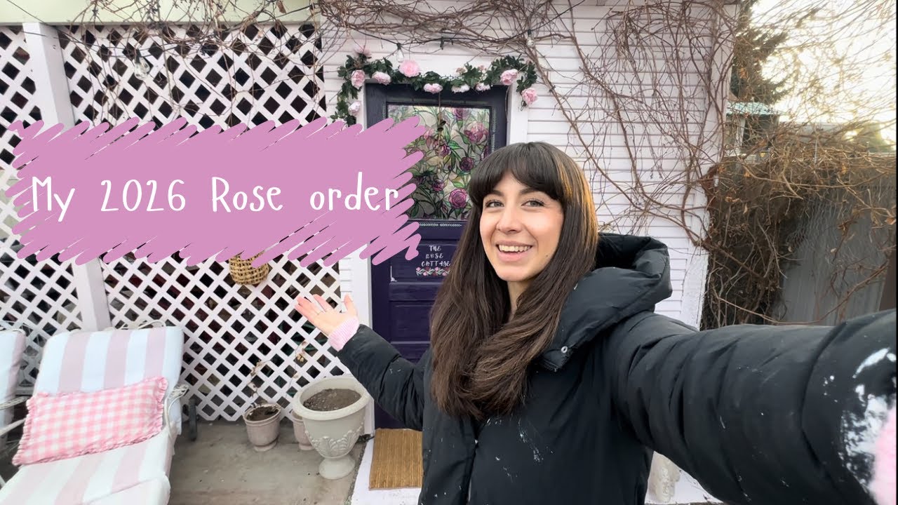 My Rose Garden || 2026 Rose order🌸🤗