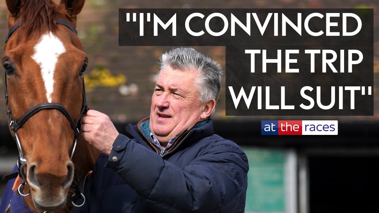 2024 Cheltenham Festival contenders | PAUL NICHOLLS