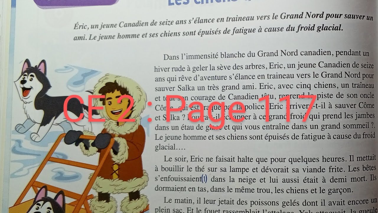 CE2 : Lecture : Les chiens d' Éric /suite/ page 117 . Le trésor des mots