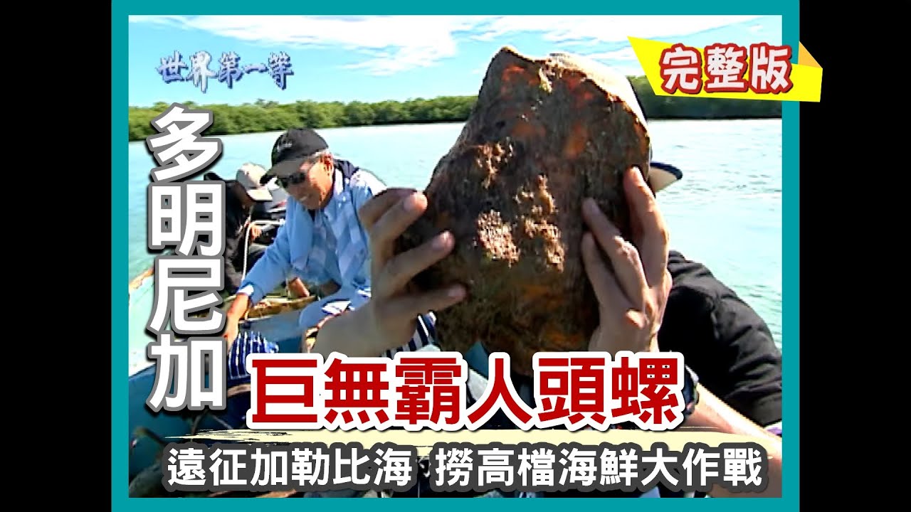 【多明尼加】加勒比海 巨無霸人頭螺（閃鑽烤乳豬／魔鬼節祈福／龍蝦天堂）｜《世界第一等》403集小馬完整版 #好家在我在家