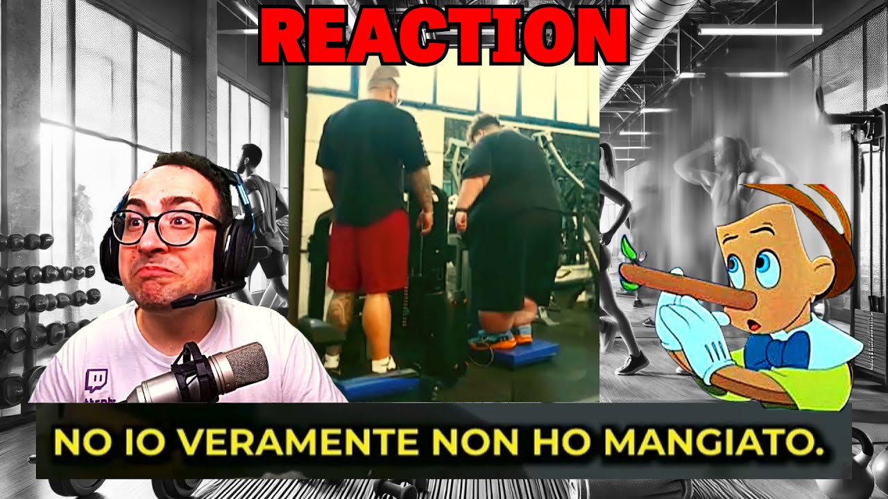 REACTION al PROGETTO IL BAVARO ( è davvero finito? )