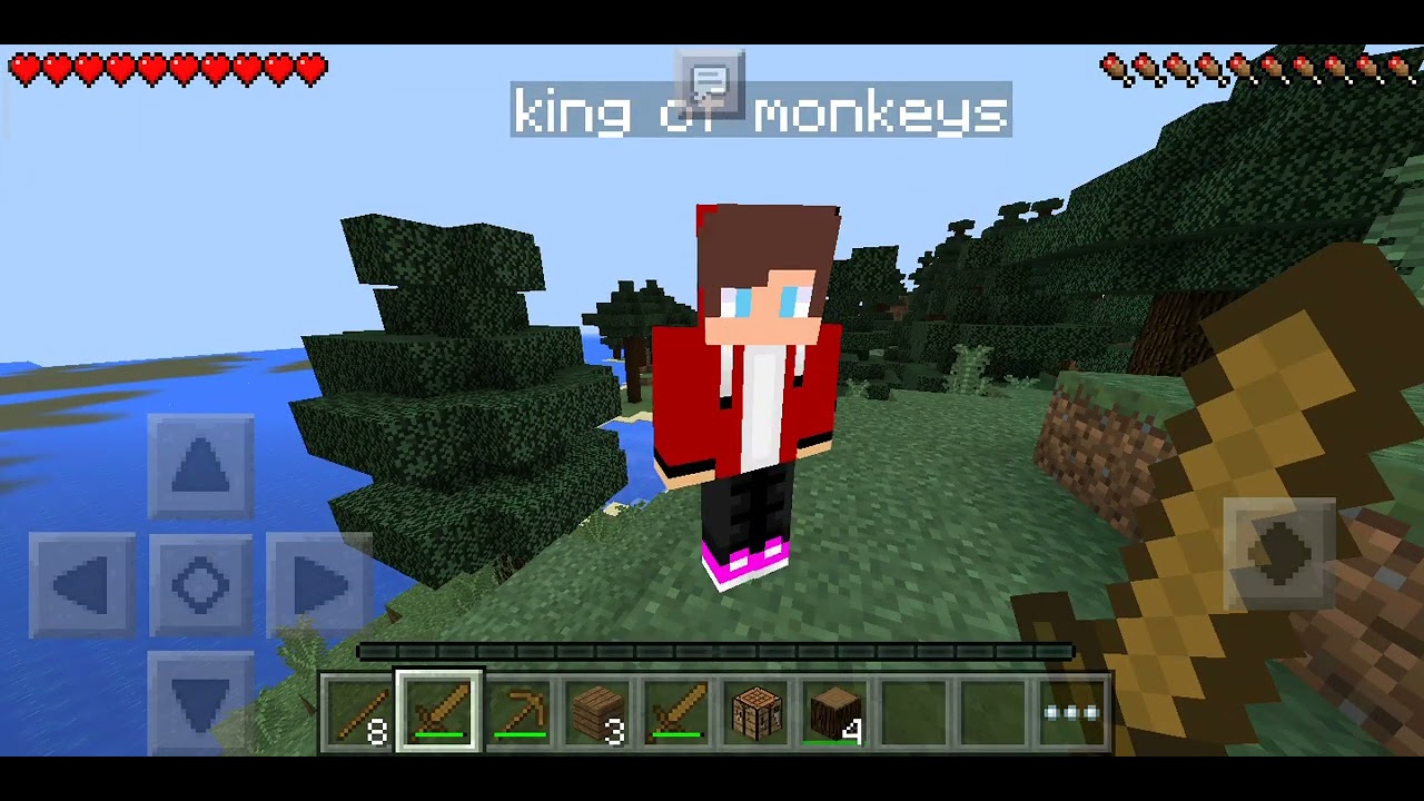 Rizz SMP pt 1