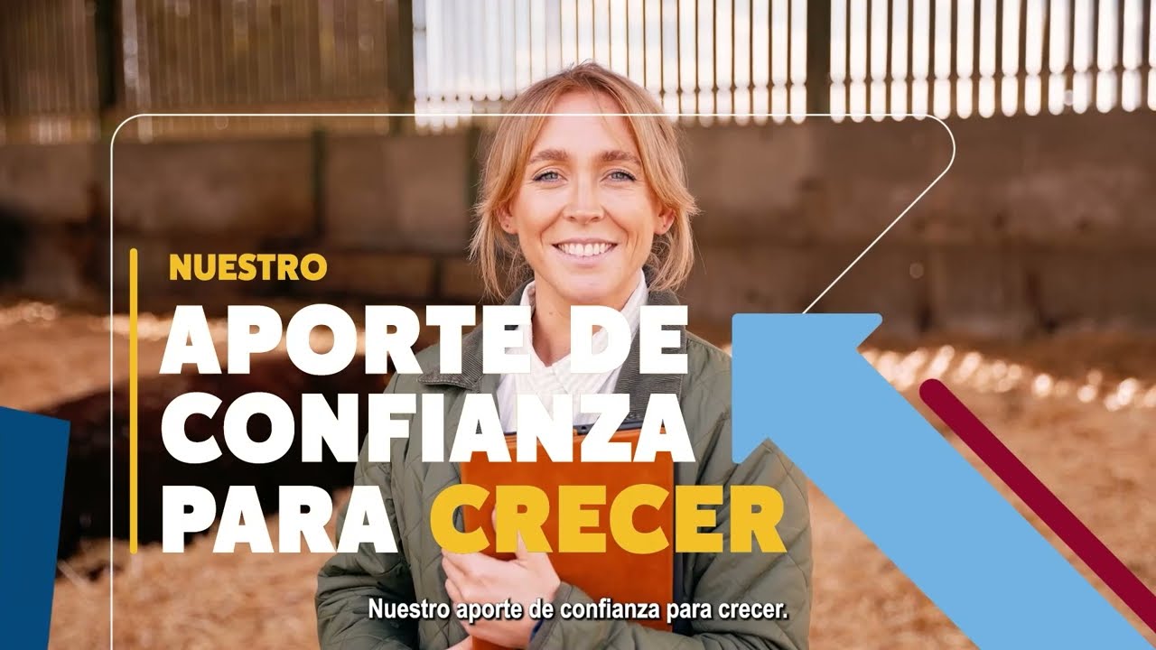 RESUMEN PUNTAL AM 2025