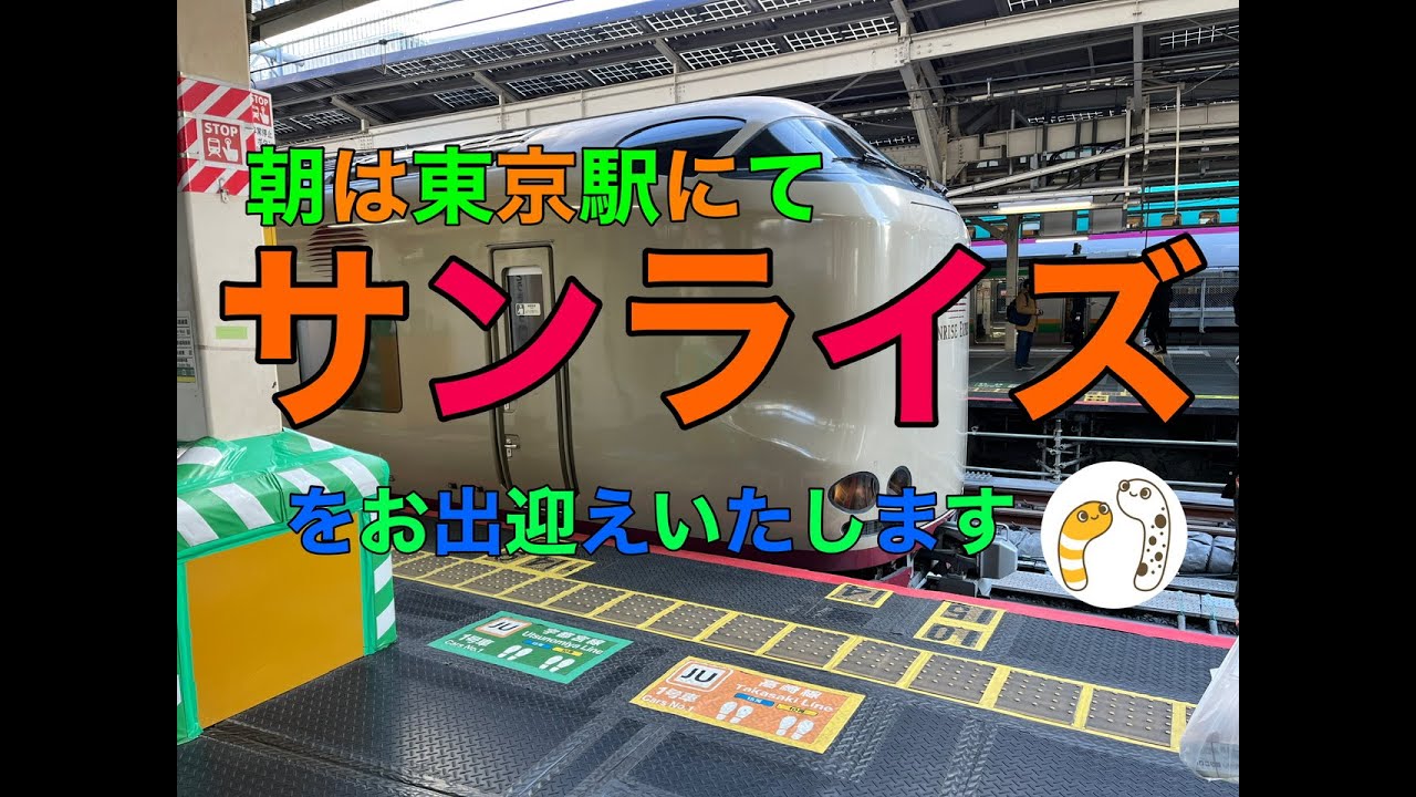 朝は東京駅にてサンライズをお出迎えいたします【のぞみさくら火星人】