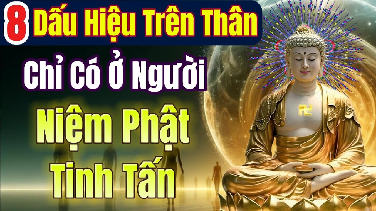 Xin chúc mừng, Có 1 trong 8 dấu hiệu này, bạn đang Tinh Tấn Niệm Phật
