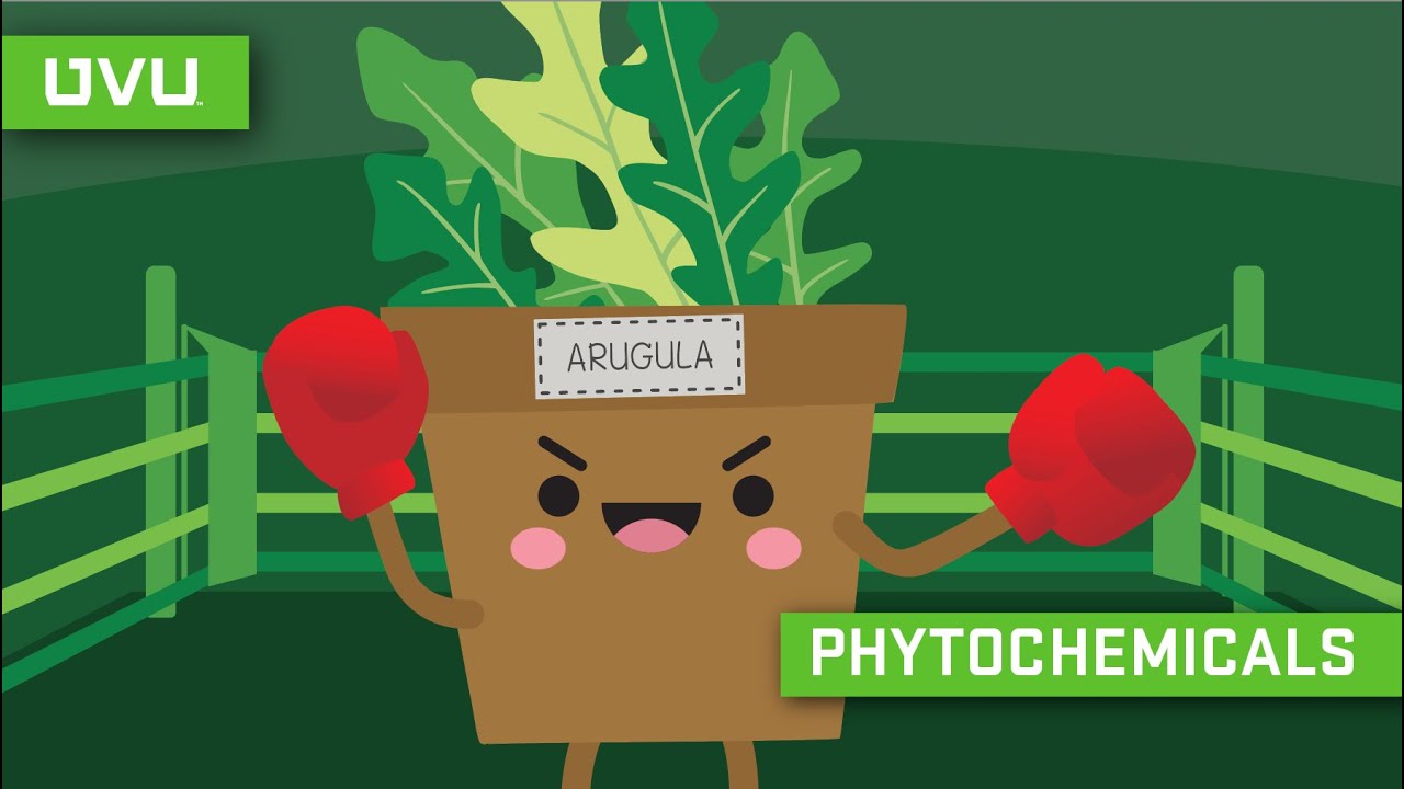Phytochemicals Explained in Under 2 Minutes!
