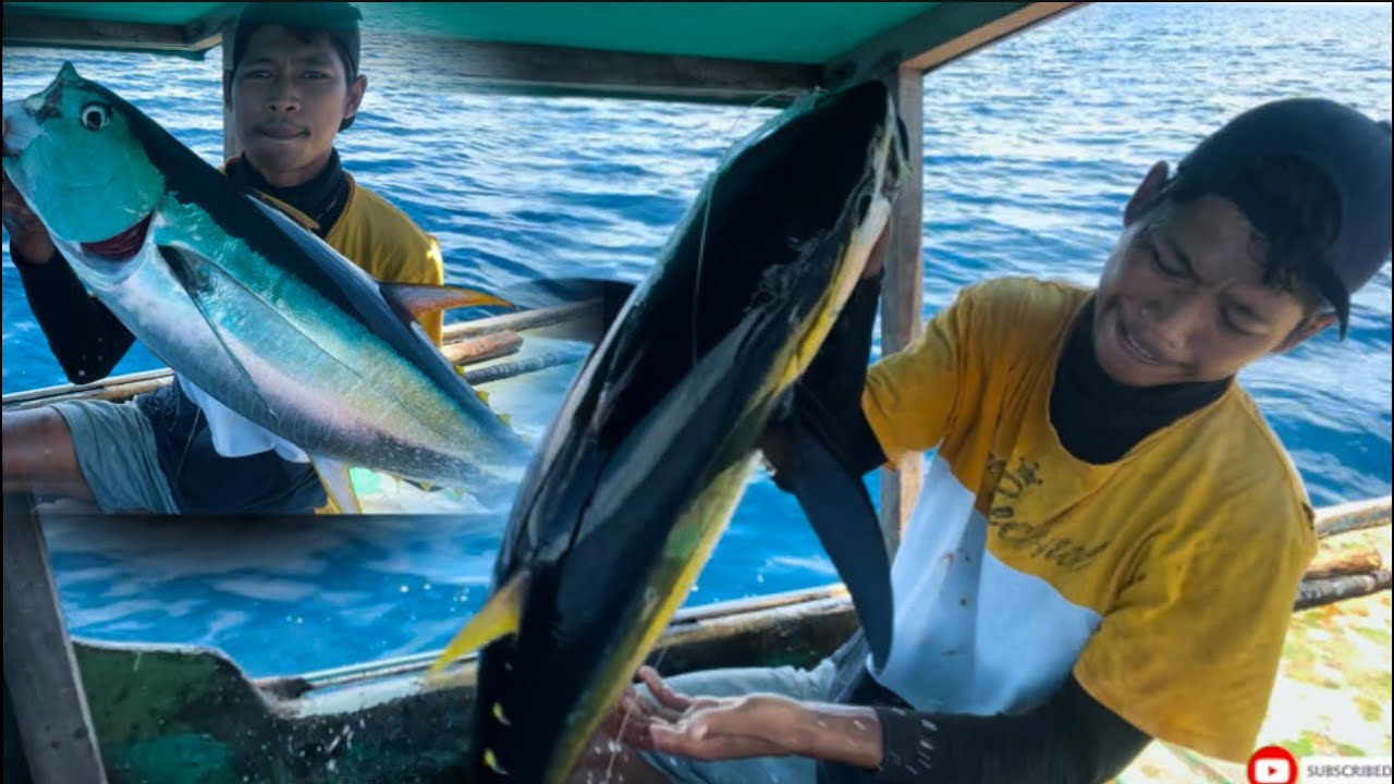 Strike big tuna bertubi tubi joss!!