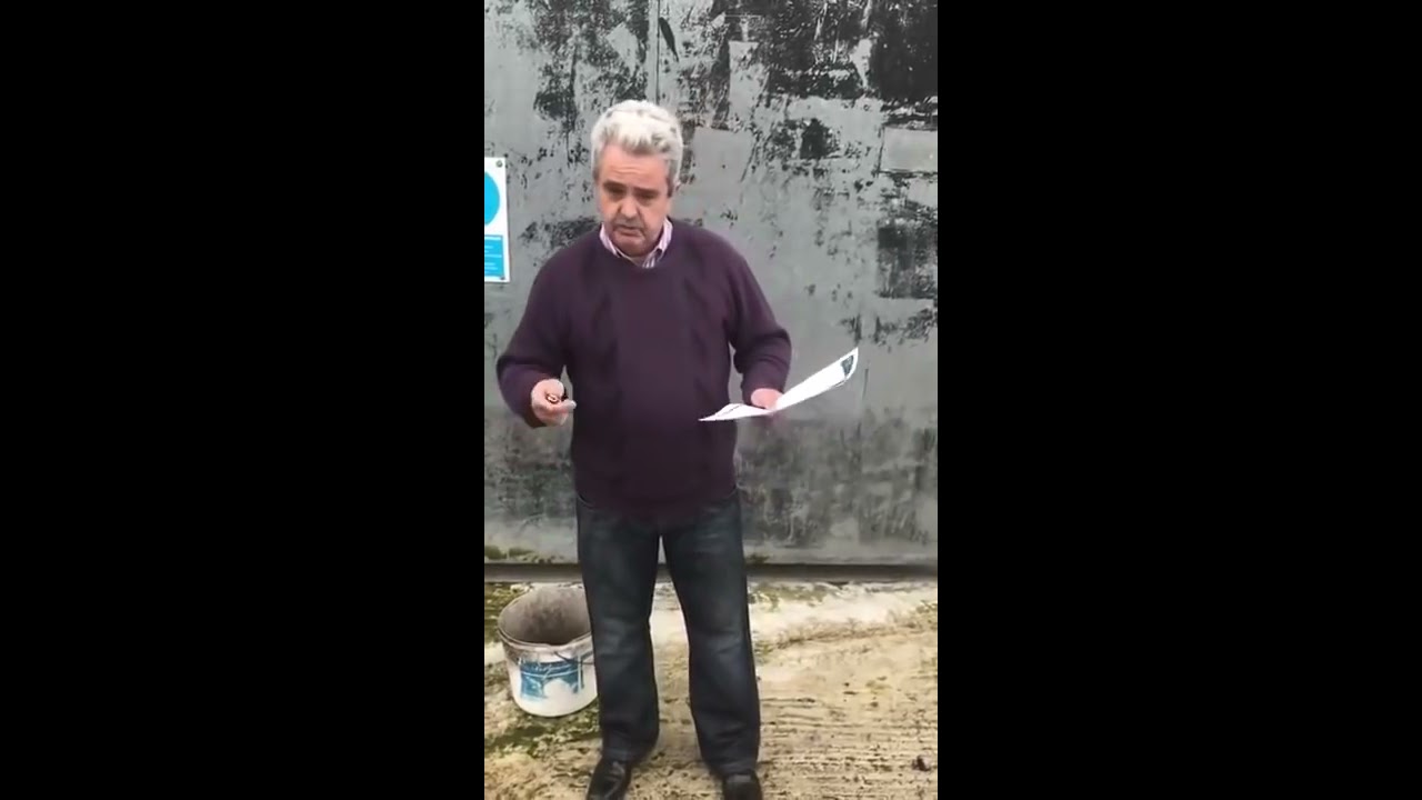 Irish Farmer Ordered to Kill All Cows -- and Not Purchase More.