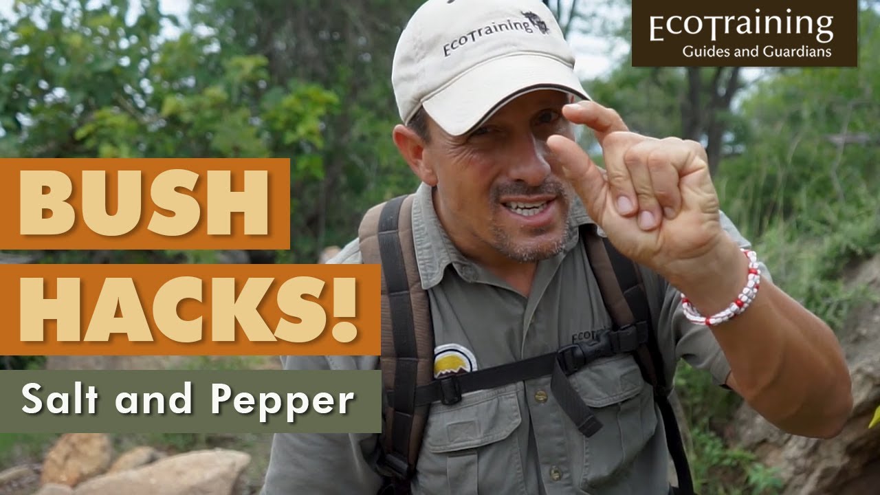 Salt and Pepper | EcoTraining Bush Hacks