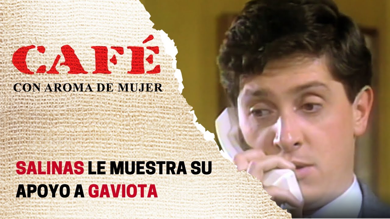 Salinas defiende a Gaviota frente a las Vallejo | Café, con aroma de mujer