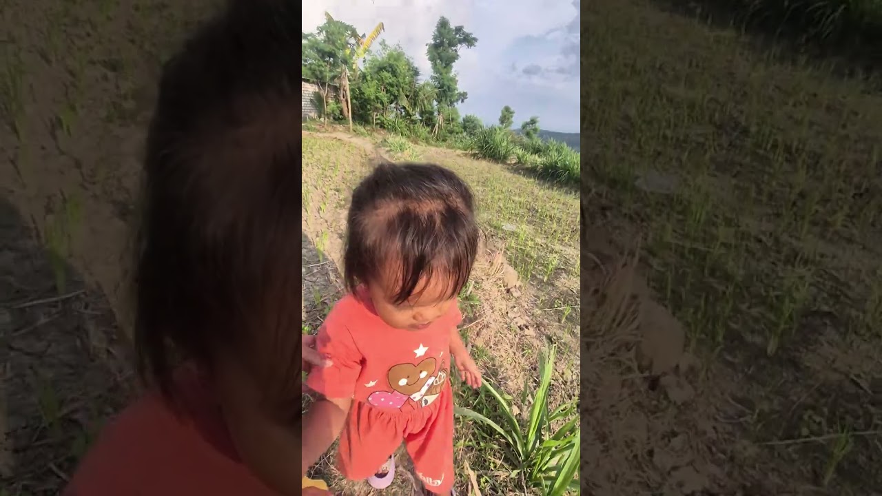 Disawah bareng shanika