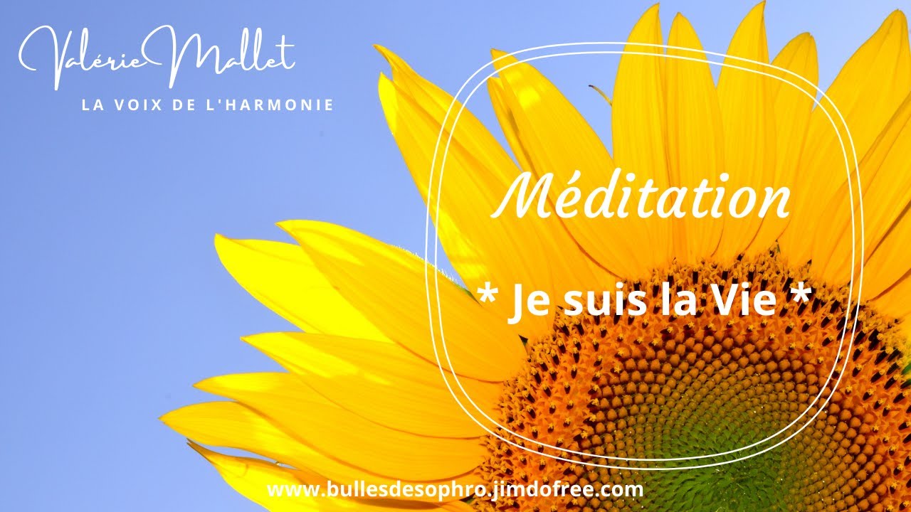 Meditation - Je suis la vie