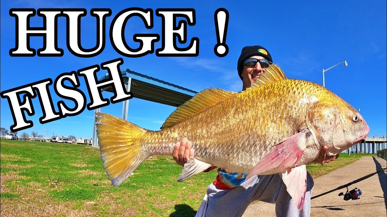 Fishing Port Arthur so many BIG fish Here | Fishing Walter Umphrey Park for Red and Black Drum