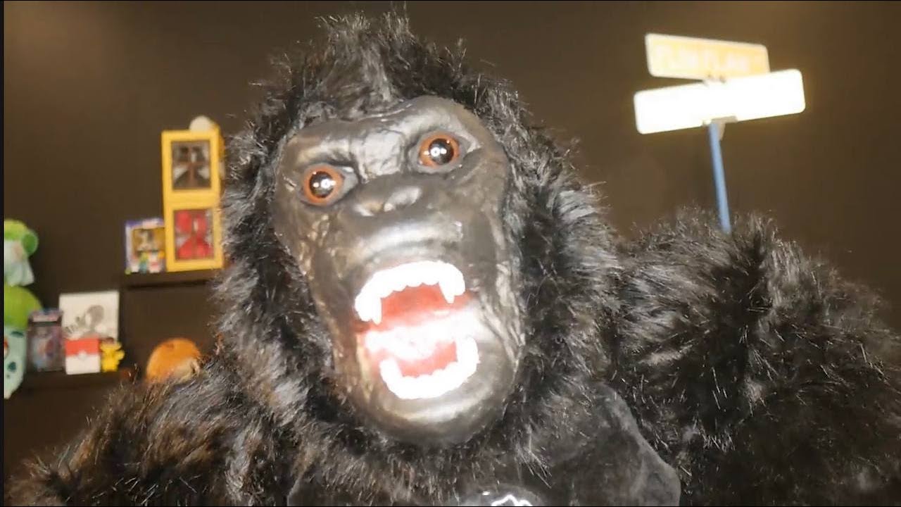 ALBERT GORILLA